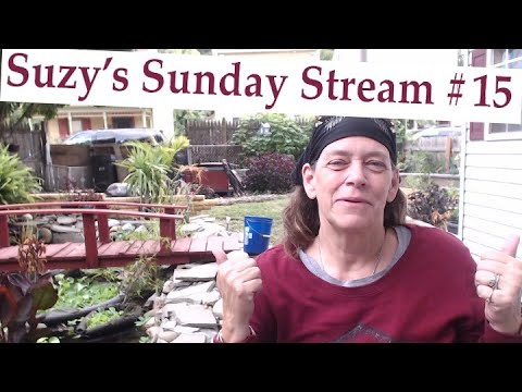 ponds at bayberry Suzy's Sunday Stream # 15