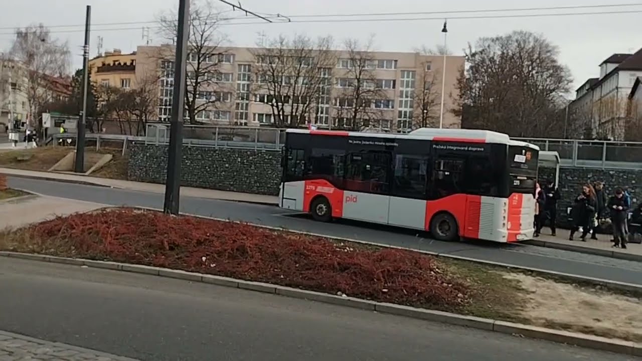 BUSSES ALL LENGHTS - 7m, 12m, 15m, 18m, 25m