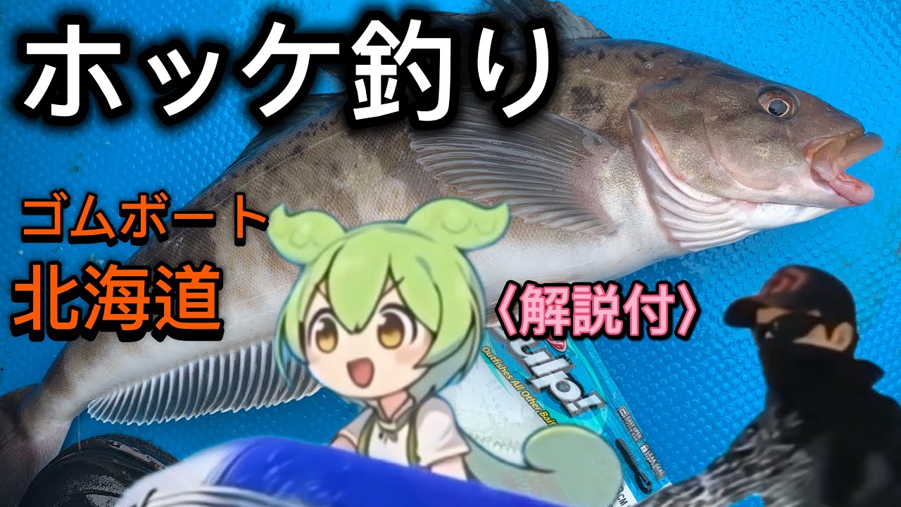 【北海道ゴムボート釣り】ホッケ爆釣　解説付　リアルなヒットシーン