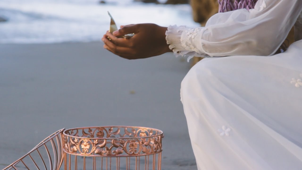 Enny Owl - Ribcaged (Official Music Video Preview )