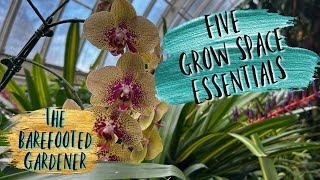Is Keeping Tropicals Cool Overwinter Better? | The Barefooted Gardener 