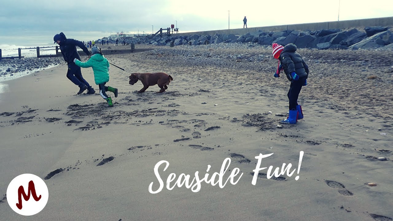 Seaside Fun! Hornsea Beach UK Winter Dog on the Beach Family Day Out YouTube