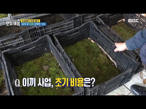 [생방송 오늘 아침] 귀촌 전문가가 선택한 사업 아이템은 ＂<strong>이끼</strong>＂?!, MBC 241107 방송