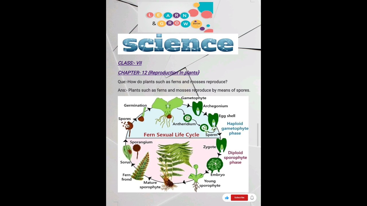 "Unveiling the Reproduction Secrets of Ferns and Mosses in Class-7 Chapter-12"