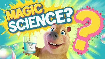 Magic Science! The Floating Paperclip Experiment