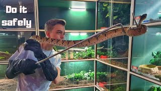 Snake Proof Gloves Net Worth