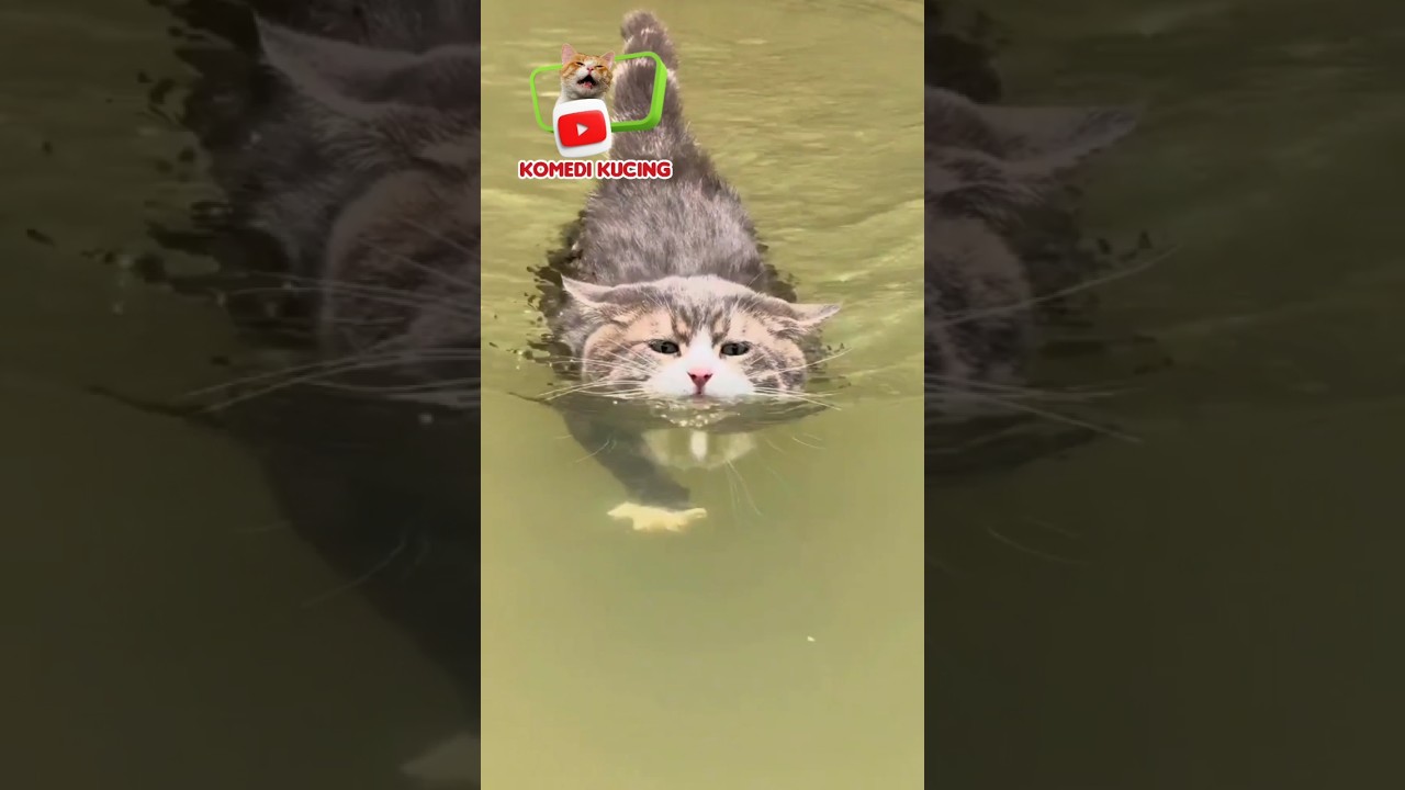 𝗧𝗘𝗥𝗢𝗕𝗢𝗦 𝗔𝗝𝗔 𝗟𝗔𝗛 #short