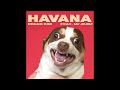 Mr.Bubz - Havana (하바나 강아지 리믹스)