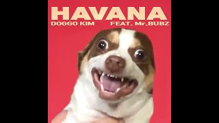 Mr.bubz - Havana 하바나 강아지 리믹스