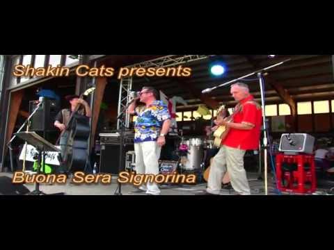 Shakin Cats 2016