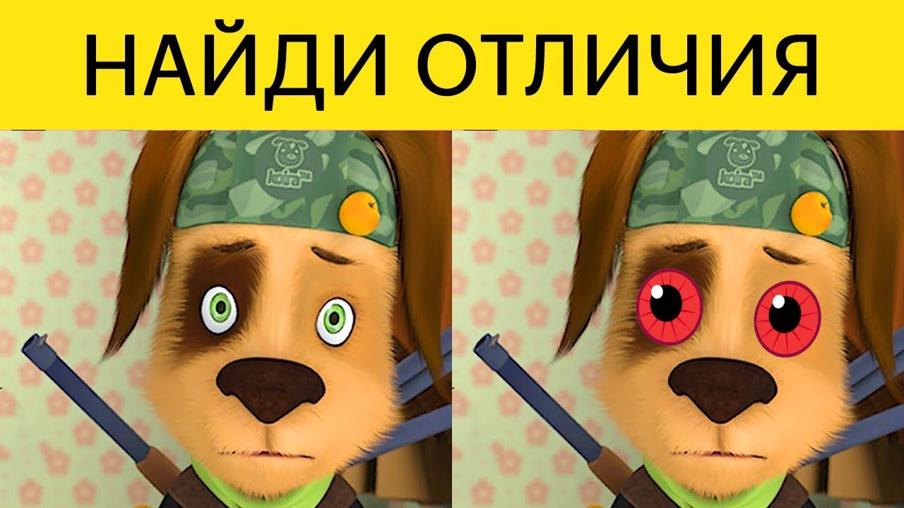 Этот ТЕСТ  ЗАСТАВИТ ТЕБЯ ПОПОТЕТЬ! 🎯 Найди отличия БАРБОСКИНЫ 🎯 БУДЬ В КУРСЕ TV
