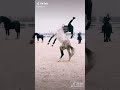 ركوب الخيل و ما أدراك ما ركوب الخيل