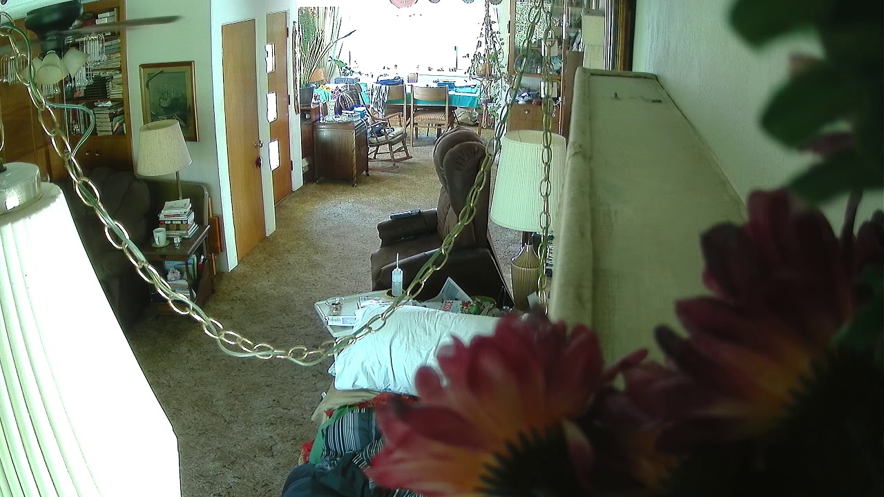 Caregiver Searching for Oxi in the Locked up Pill Box (1)