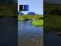 Jeff Bezos Quotes 20#motivation #quotes #shortvideo #fypシ #foryou