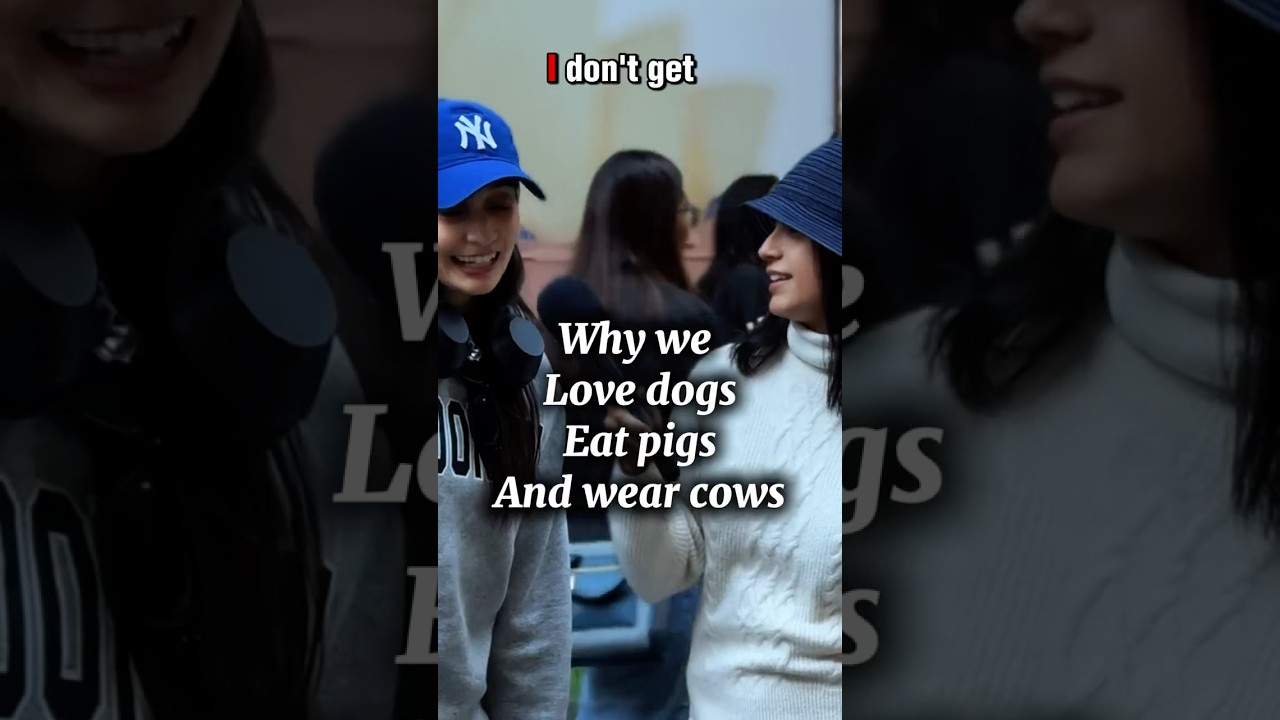 Why we love dogs, eat pigs and wear cows?