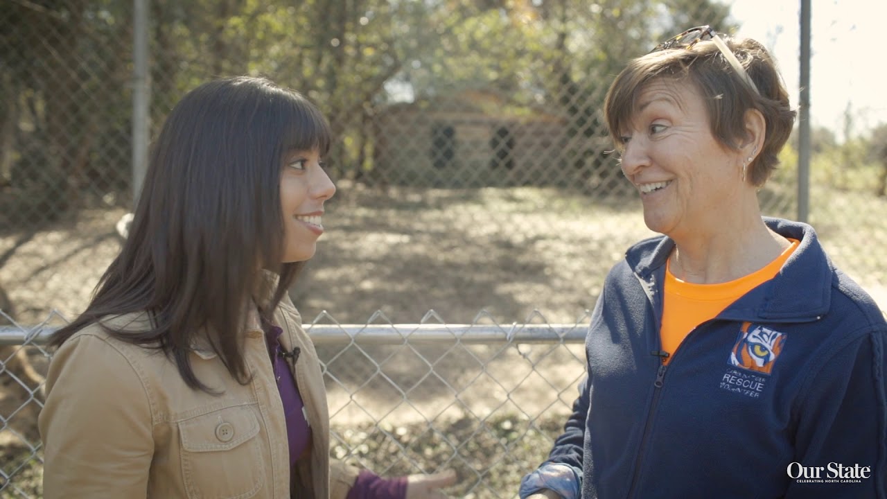 LeithCars.com: Our State Magazine - Carolina Tiger Rescue - YouTube