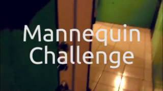 Mannequin Challenge - happy new year 2017