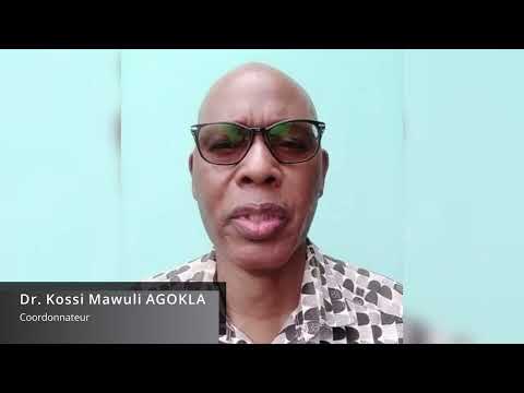 Dr  Kossi Agokla - Réflexions sur l’examen par le Parlement nigérien - redéploiement des forces.