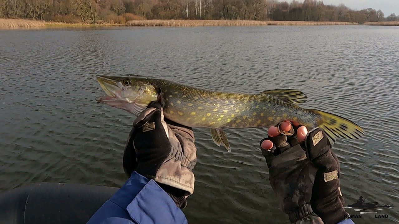 ЛОВЛЯ ЩУКИ ПОЗДНЕЙ ОСЕНЬЮ С ЛОДКИ ! ГДЕ ИСКАТЬ ПАССИВНОГО ХИЩНИКА .