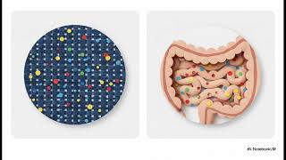Simulating Digestion: The Tights Method - KS3 Science - Pre GCSE - Biology