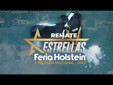 REMATE FERIA HOSTEIN ECUADOR SUBASTAR