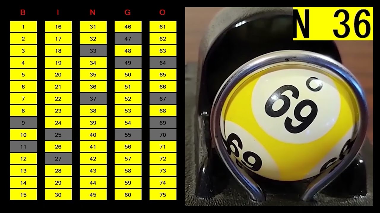 20 Games LIVE 75 Ball BINGO Caller