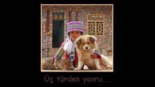 Tonti̇kler-2.Wmv