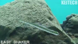 KEITECH EASY SHAKER Action movie