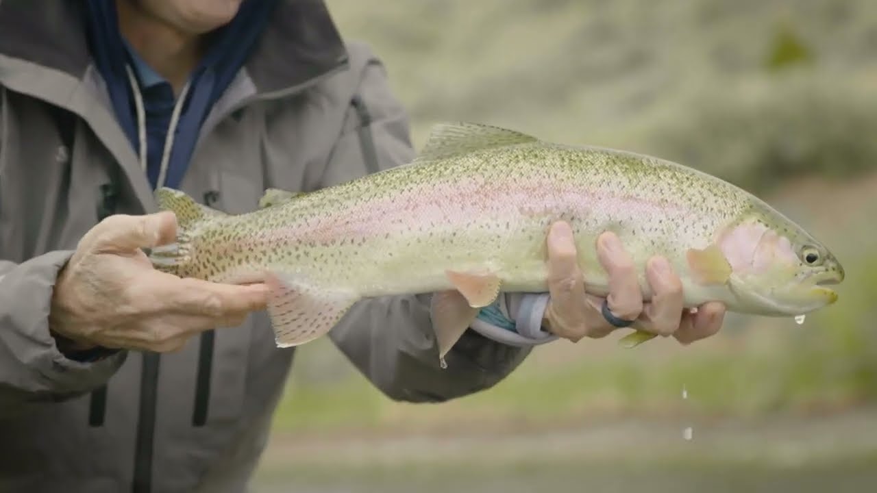 The Big Hole Valley is a Big Deal