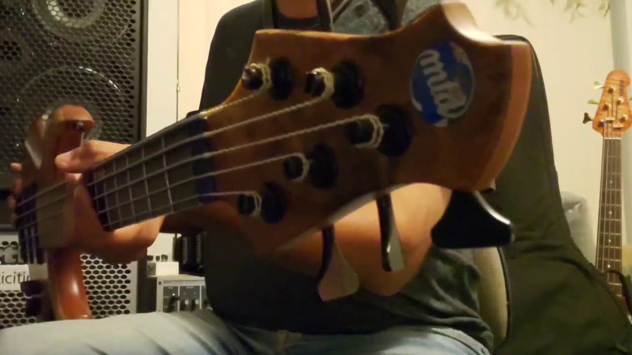 My MTD 535 🎸 BY MR FLAKOBASS