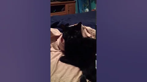 Your sorry now