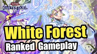 WE DON'T NEED AZAMINA!!! | WHITE FOREST TOYS RANKED GAMEPLAY! - SEASON 48 | Yu-Gi-Oh! Master Duel