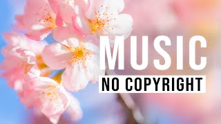 Happy Piano Music 🌸 Spring Joy 🌸 [FREE MP3 DOWNLOAD - NO COPYRIGHT MUSIC] screenshot 5