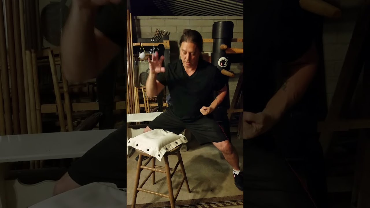 Shaolin Hung Gar Iron Palm 2021