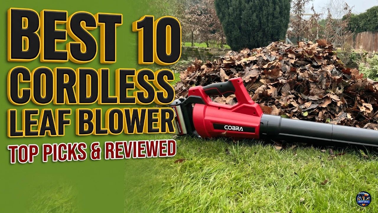 10 Best Cordless Leaf Blowers to Buy in 2026 | Ultimate Buying Guide ...
