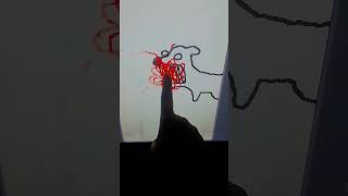 Celebrity put your finger here#flipnote Net Worth