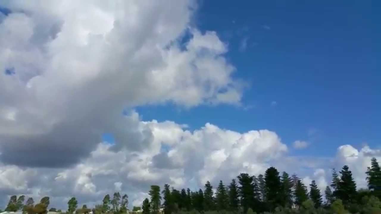 Corflute Wing vertical take off