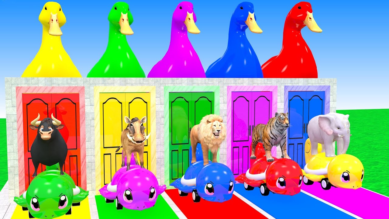 Long Slide Game With Elephant Bull Warthog Lion Tiger Hippopotamus 3d Animal Game Funny 3d Animals
