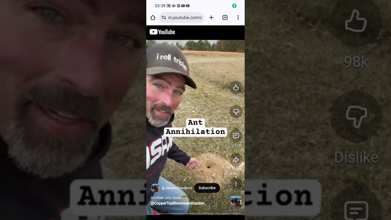 E-Saw the anti-life man: Ant removal 🐜