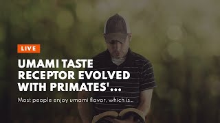 Umami Taste Receptor Evolved With Primates Diets