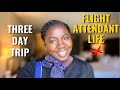 FLIGHT ATTENDANT LIFE | THREE DAY TRIP