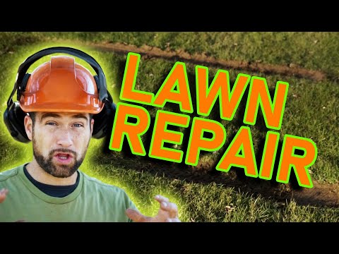 How to repair a damaged lawn.