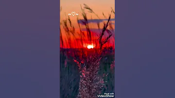 Omar Halil Omar Xalil Hadis Maruzalar 