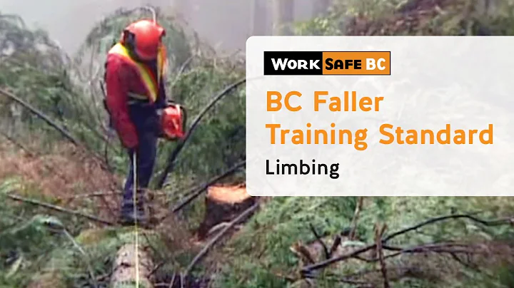BC Faller Training Standard - Limbing (15 of 17)