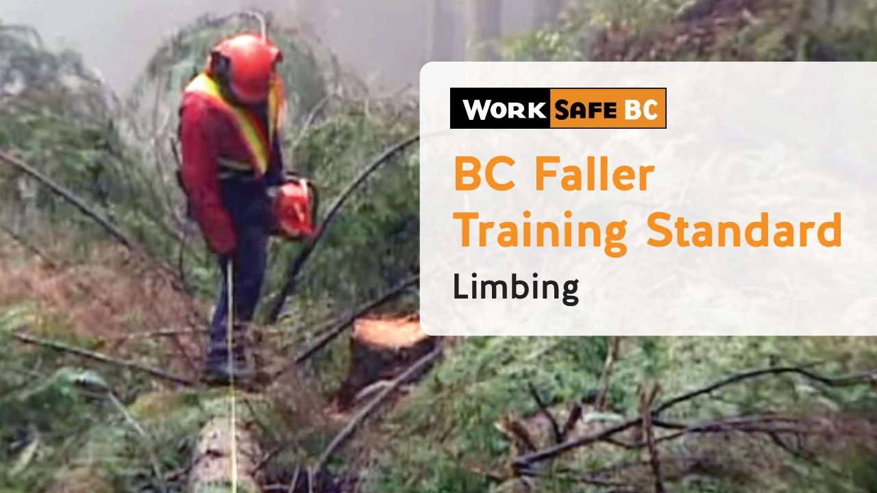 BC Faller Training Standard - Limbing (15 of 17)