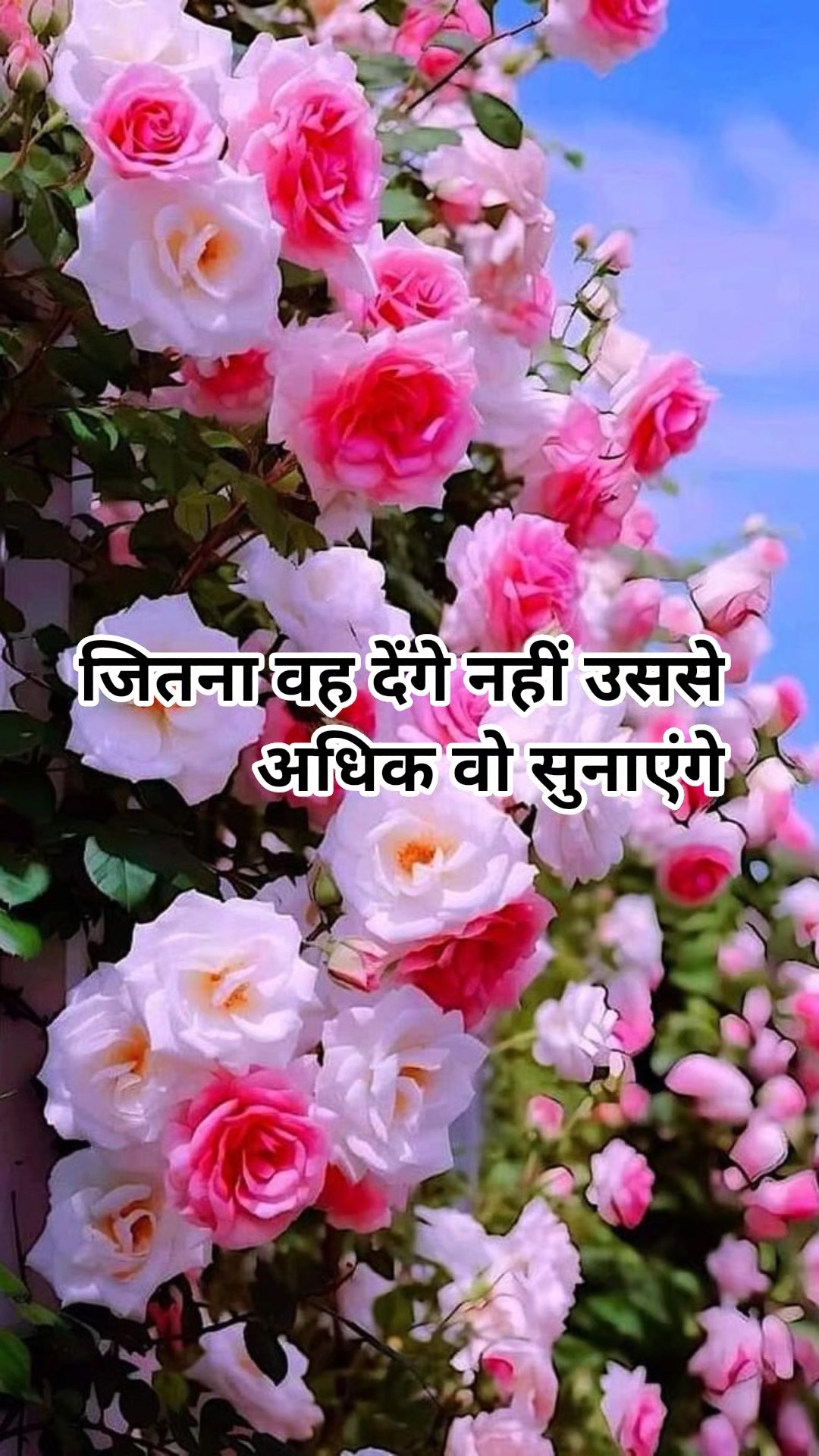 यूट्यूब चैनल - ShareChat