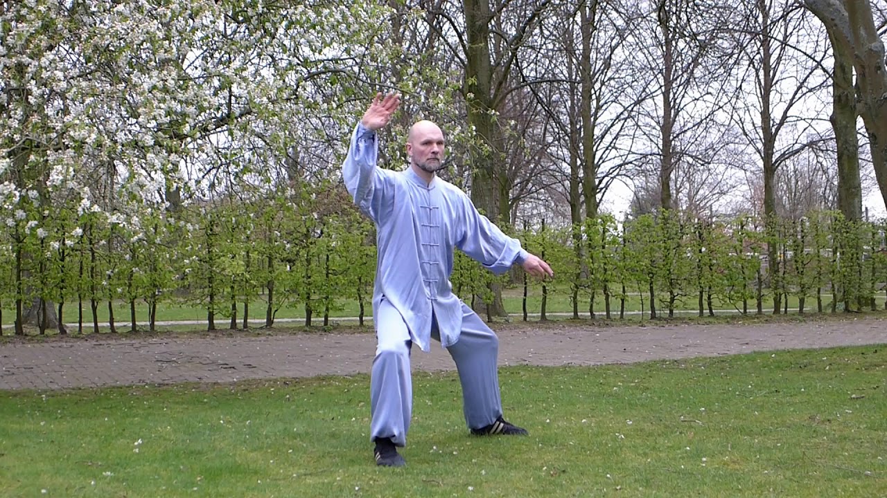 Hun Yuan Tai Chi 24 Figuren