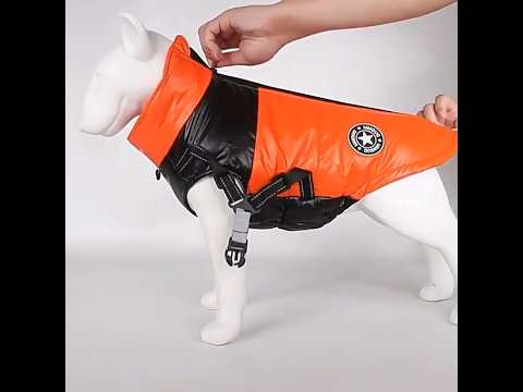 Жилетка для собак «Престиж», червоний, одяг для собак малих і середніх порід, видео 1