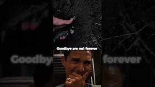 Try Not To Cry (Goodbye Kitty💔)#shorts