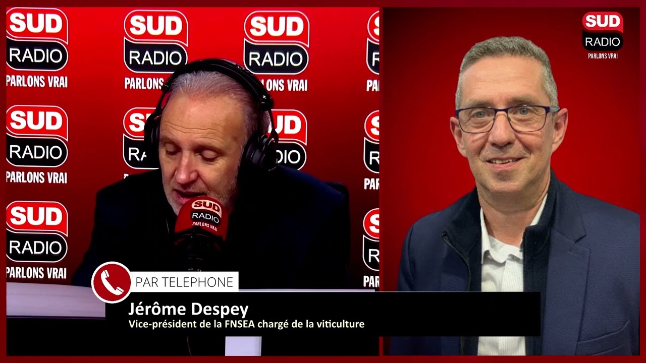 "La situation de notre viticulture est dramatique" alerte Jérôme Despey (FNSEA)